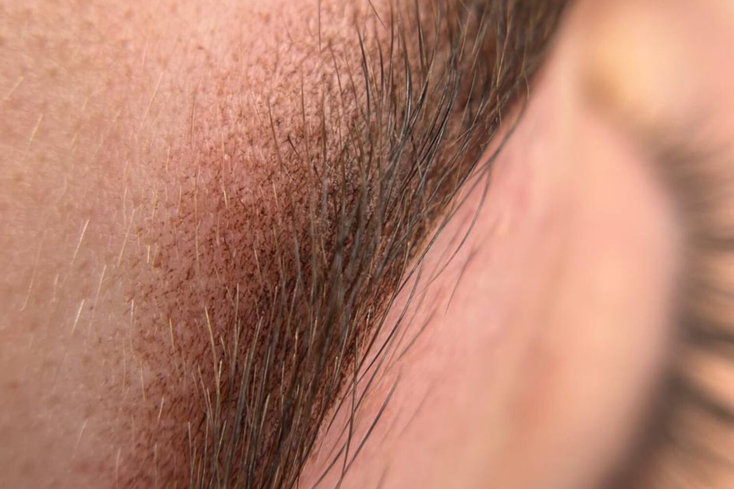 sopracciglia tatuate: meglio la tecnica pelo a pelo o sfumata? dettaglio della sfumatura del sopracciglio